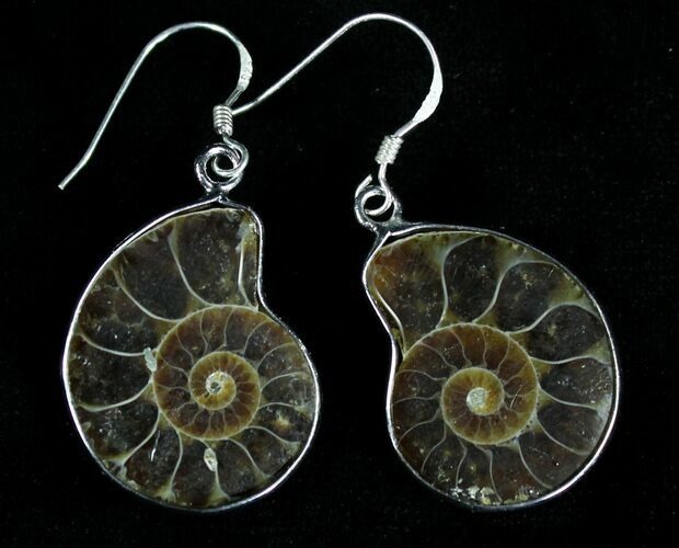 Stylish Fossil Ammonite Earrings #21058